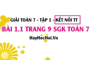 Bài 1.1 SGK Toán 7 tập 1 Kết nối tri thức